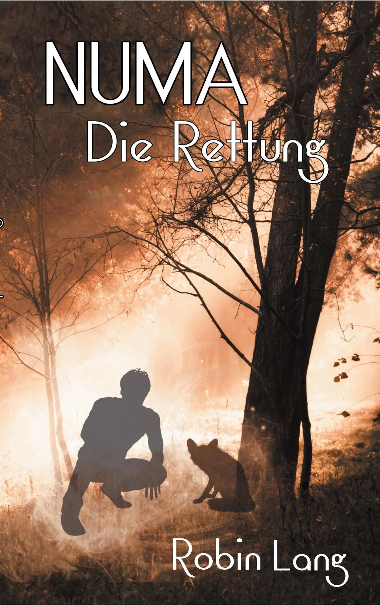 Cover: 9783740731373 | Numa | Die Rettung | Robin Lang | Taschenbuch | Numa | Paperback