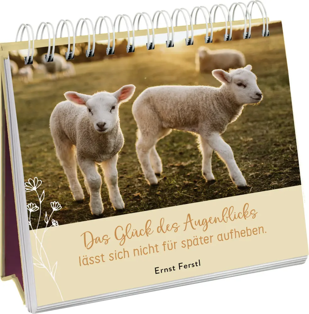 Bild: 9783848501373 | Zauberhaftes Landleben | Groh Verlag | Taschenbuch | Spiralbindung