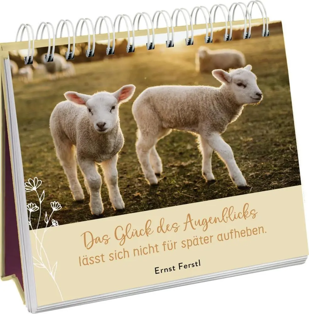 Bild: 9783848501373 | Zauberhaftes Landleben | Groh Verlag | Taschenbuch | Spiralbindung