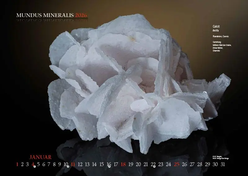 Bild: 9783957561473 | MUNDUS MINERALIS 2026 | Die Welt der Mineralien | Jörg Neubert | 2026