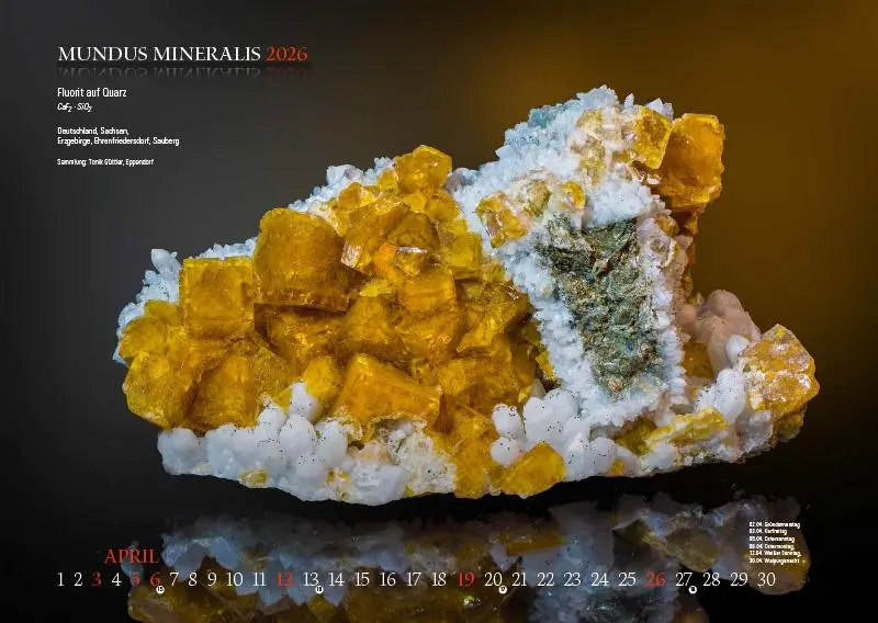 Bild: 9783957561473 | MUNDUS MINERALIS 2026 | Die Welt der Mineralien | Jörg Neubert | 2026