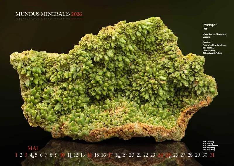 Bild: 9783957561473 | MUNDUS MINERALIS 2026 | Die Welt der Mineralien | Jörg Neubert | 2026