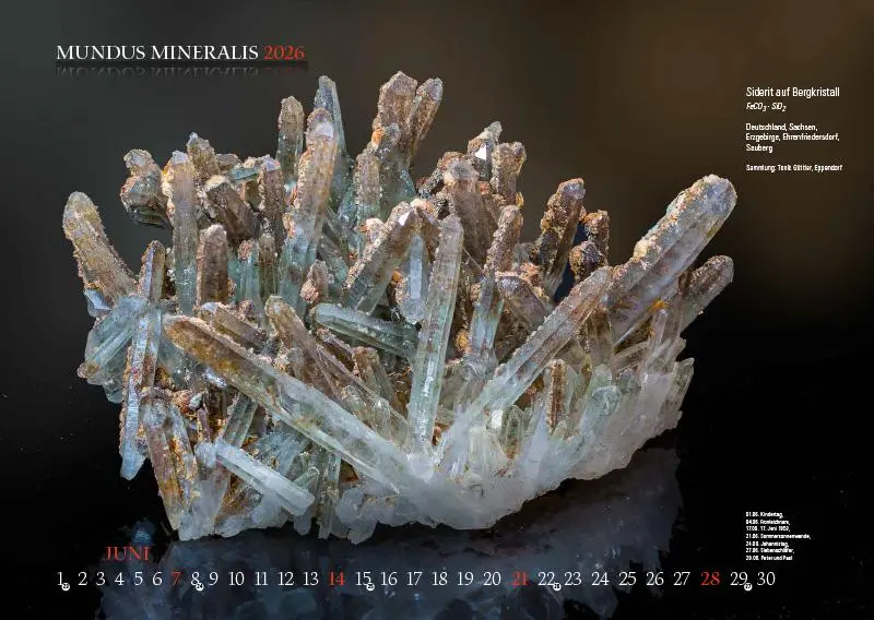 Bild: 9783957561473 | MUNDUS MINERALIS 2026 | Die Welt der Mineralien | Jörg Neubert | 2026