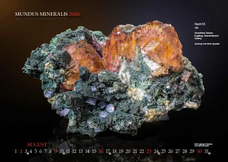 Bild: 9783957561473 | MUNDUS MINERALIS 2026 | Die Welt der Mineralien | Jörg Neubert | 2026