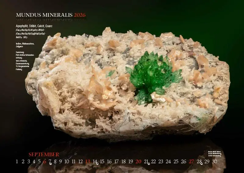 Bild: 9783957561473 | MUNDUS MINERALIS 2026 | Die Welt der Mineralien | Jörg Neubert | 2026