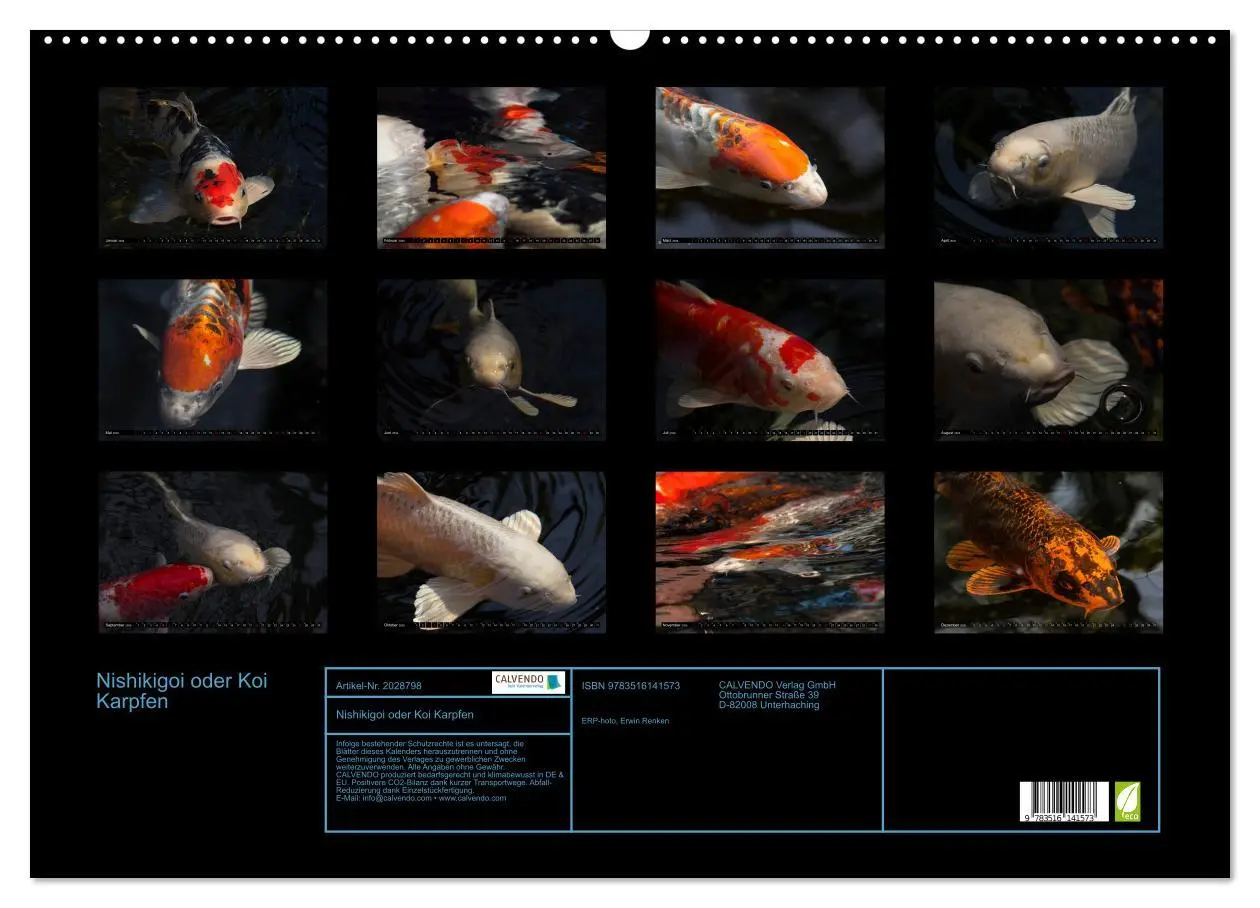 Bild: 9783516141573 | Nishikigoi oder Koi Karpfen (Wandkalender 2026 DIN A2 quer),...