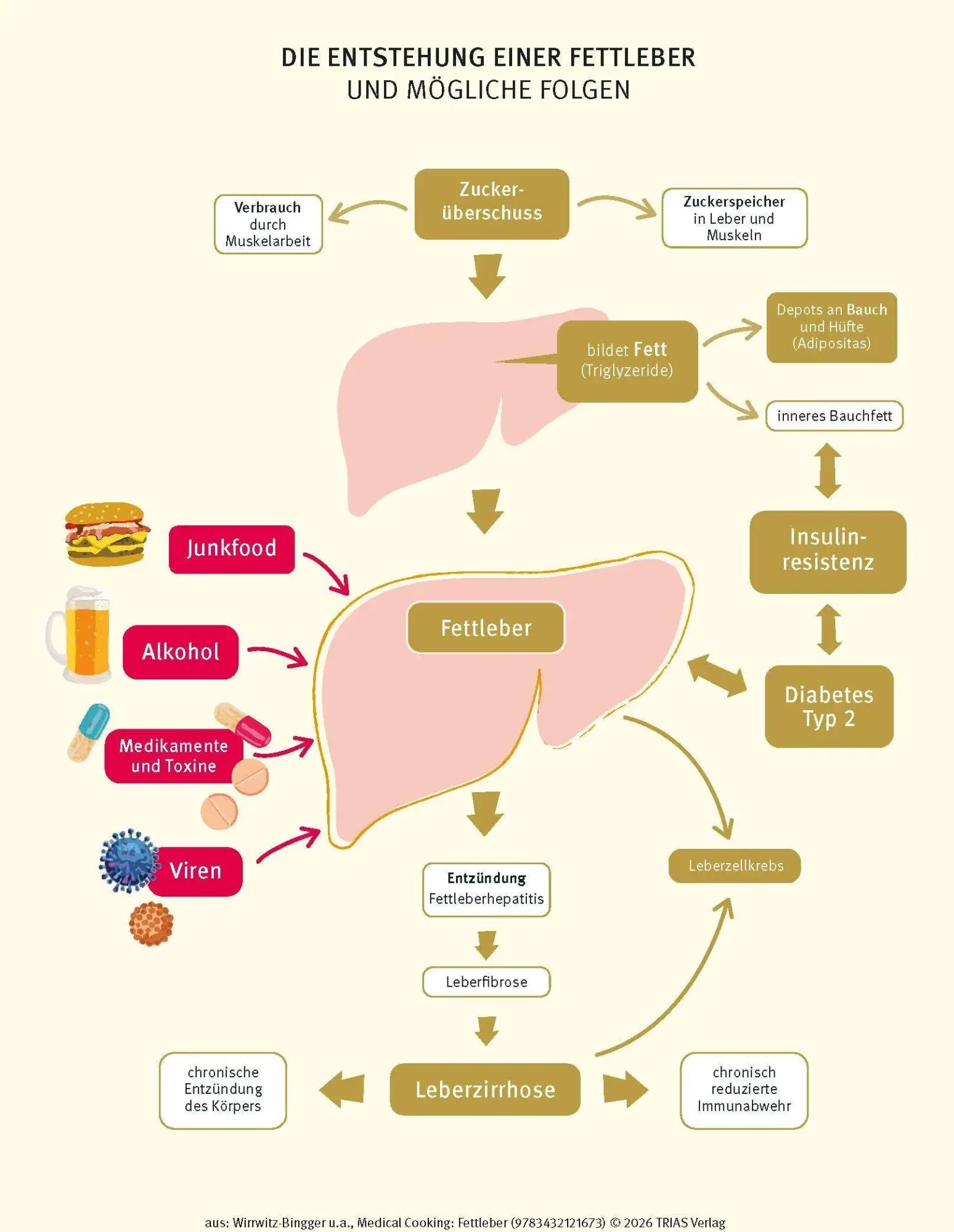 Bild: 9783432121673 | Medical Cooking: Fettleber | Andrea Wirrwitz-Bingger | Buch | 208 S.