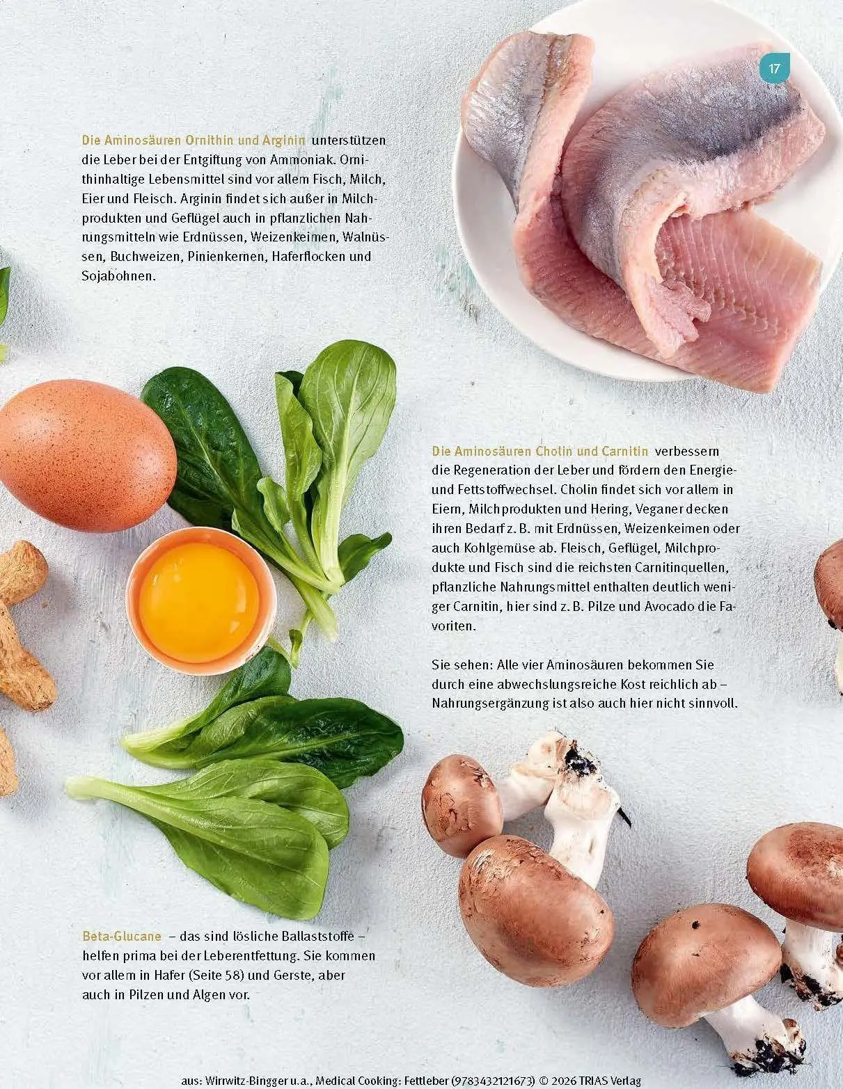 Bild: 9783432121673 | Medical Cooking: Fettleber | Andrea Wirrwitz-Bingger | Buch | 208 S.