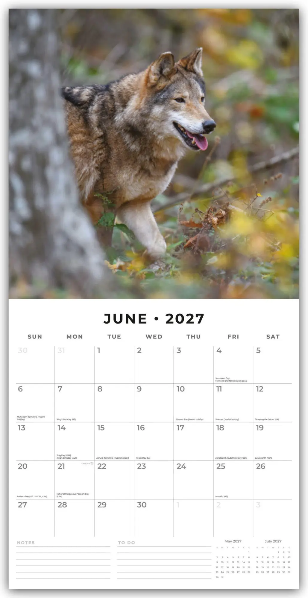 Bild: 9781837011773 | Wolves - Wölfe 2027 - 16-Monatskalender | Robin Red | Kalender | 28 S.