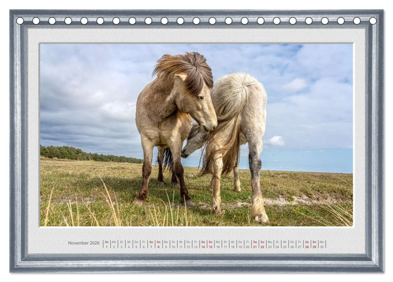 Bild: 9783457581773 | Ich bin ein Isländer (Tischkalender 2026 DIN A5 quer), CALVENDO...