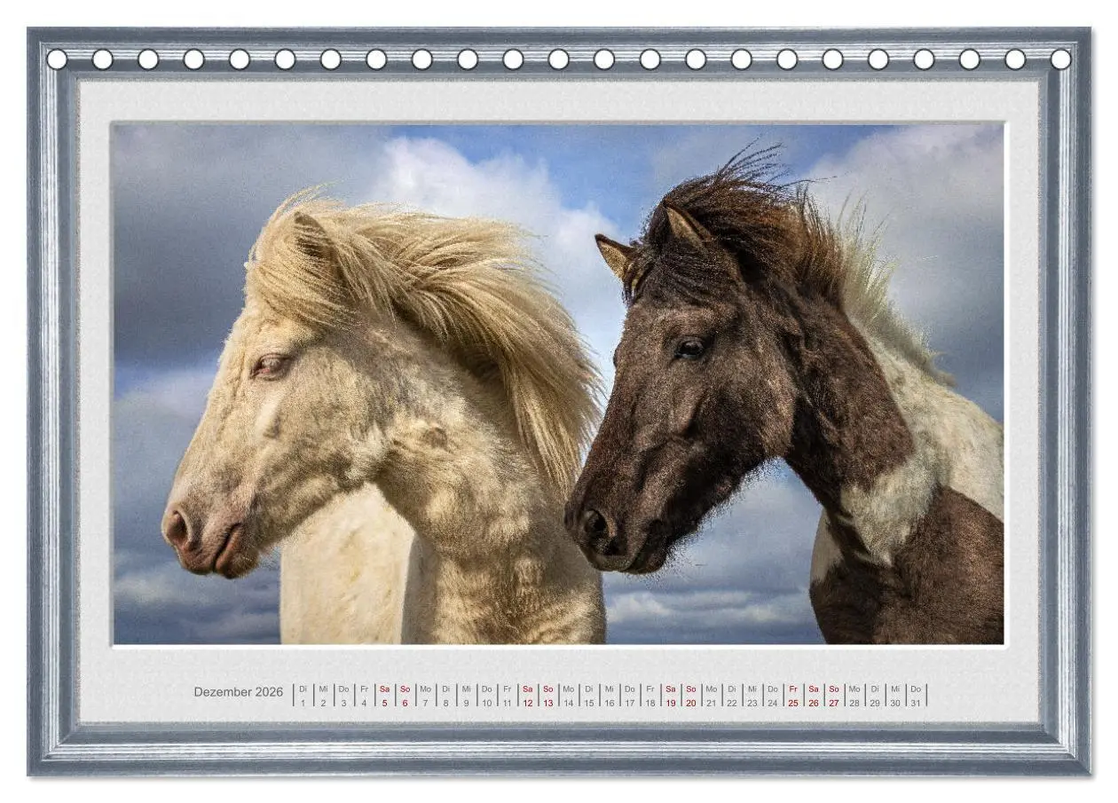 Bild: 9783457581773 | Ich bin ein Isländer (Tischkalender 2026 DIN A5 quer), CALVENDO...