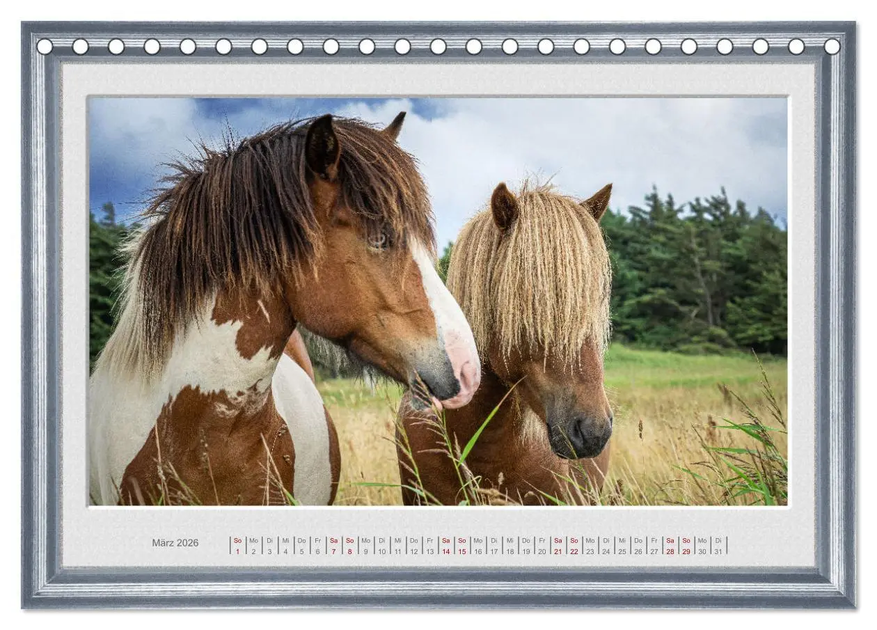 Bild: 9783457581773 | Ich bin ein Isländer (Tischkalender 2026 DIN A5 quer), CALVENDO...