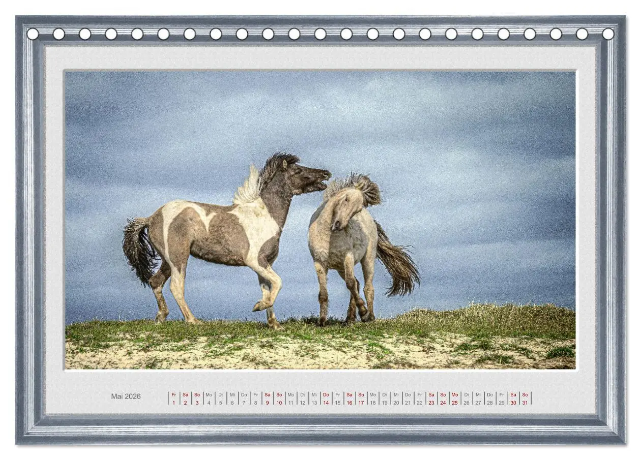 Bild: 9783457581773 | Ich bin ein Isländer (Tischkalender 2026 DIN A5 quer), CALVENDO...
