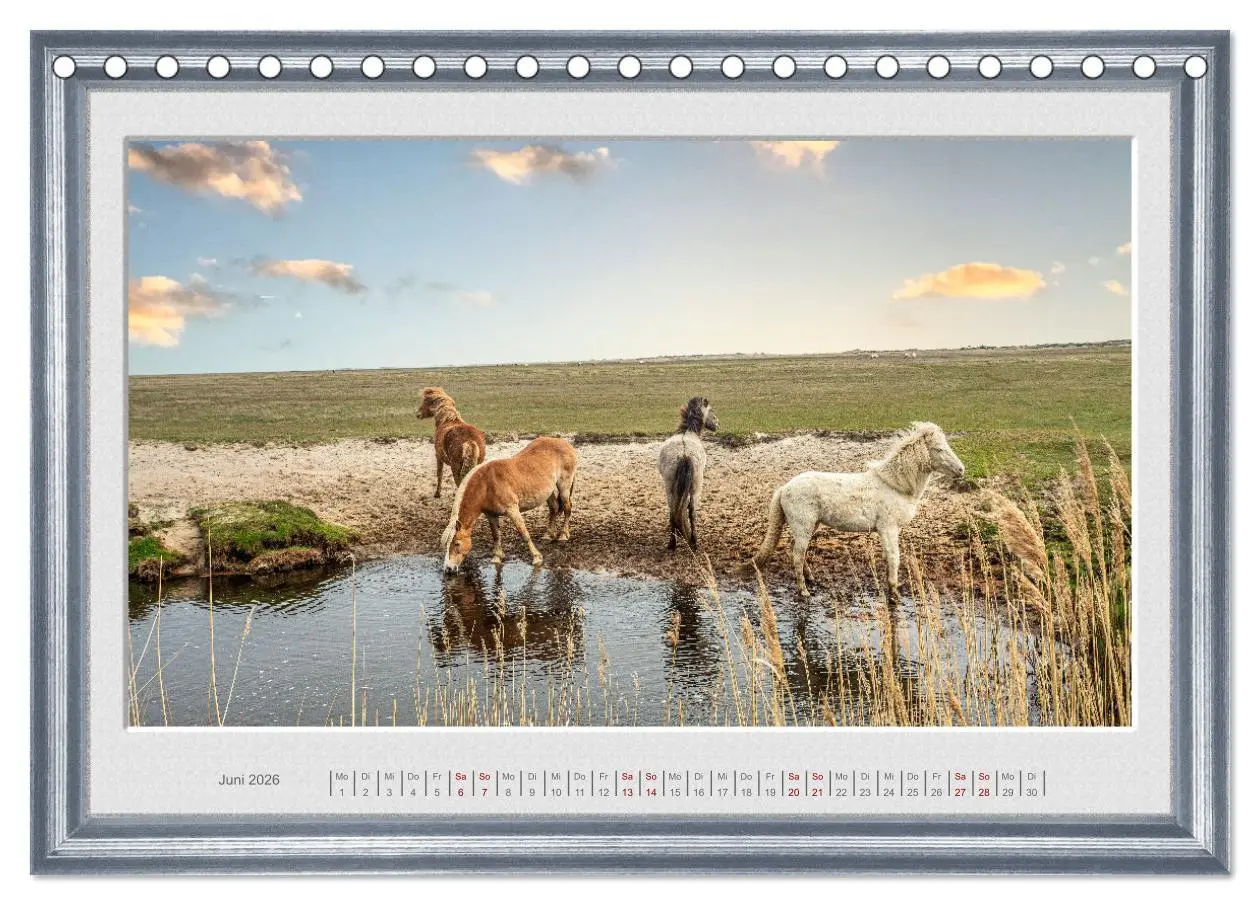 Bild: 9783457581773 | Ich bin ein Isländer (Tischkalender 2026 DIN A5 quer), CALVENDO...