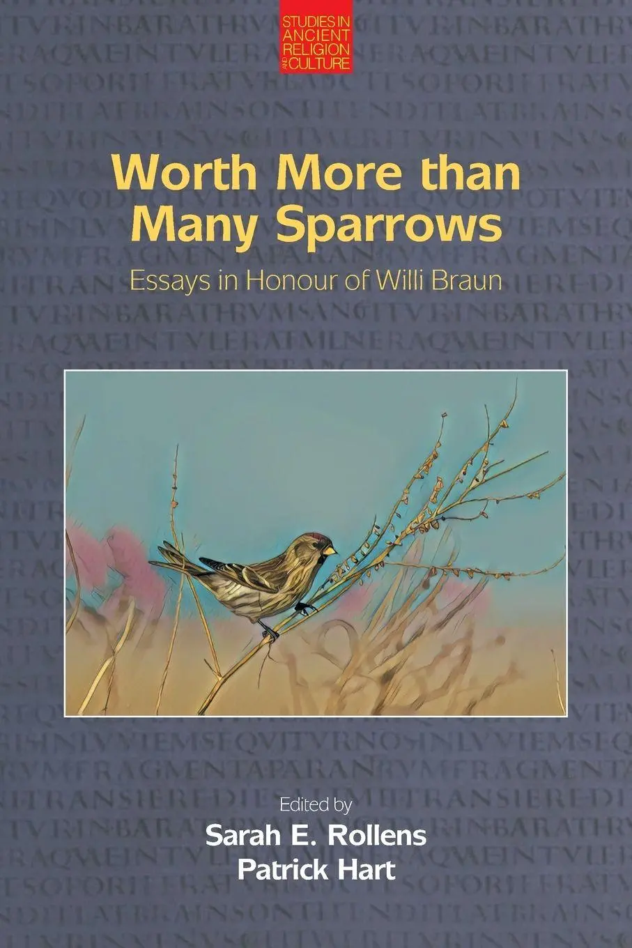 Cover: 9781800501973 | Worth More than Many Sparrows | Essays in Honour of Willi Braun | Buch