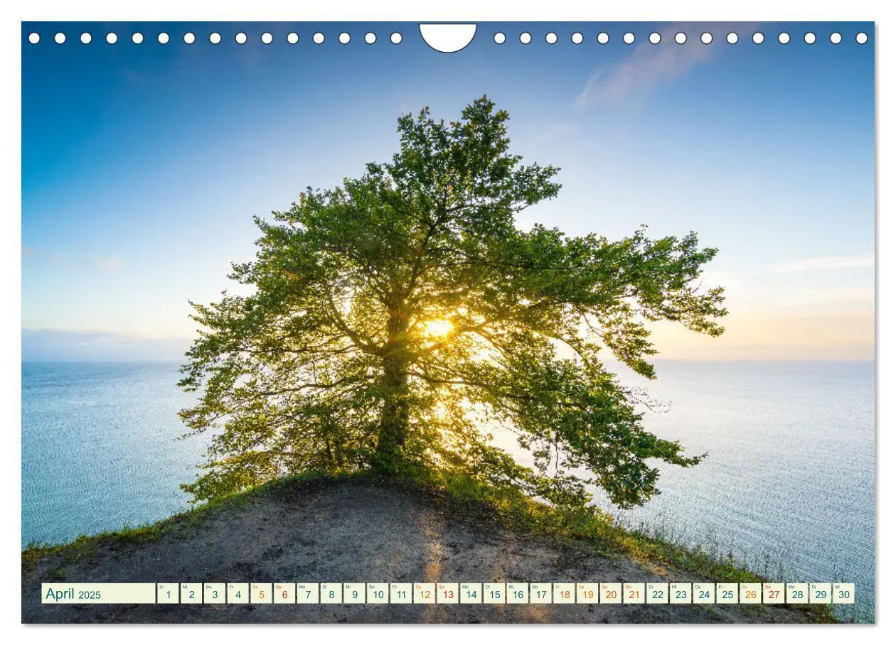 Bild: 9783383831973 | Insel Rügen - Malerische Kreideküste (Wandkalender 2025 DIN A4...