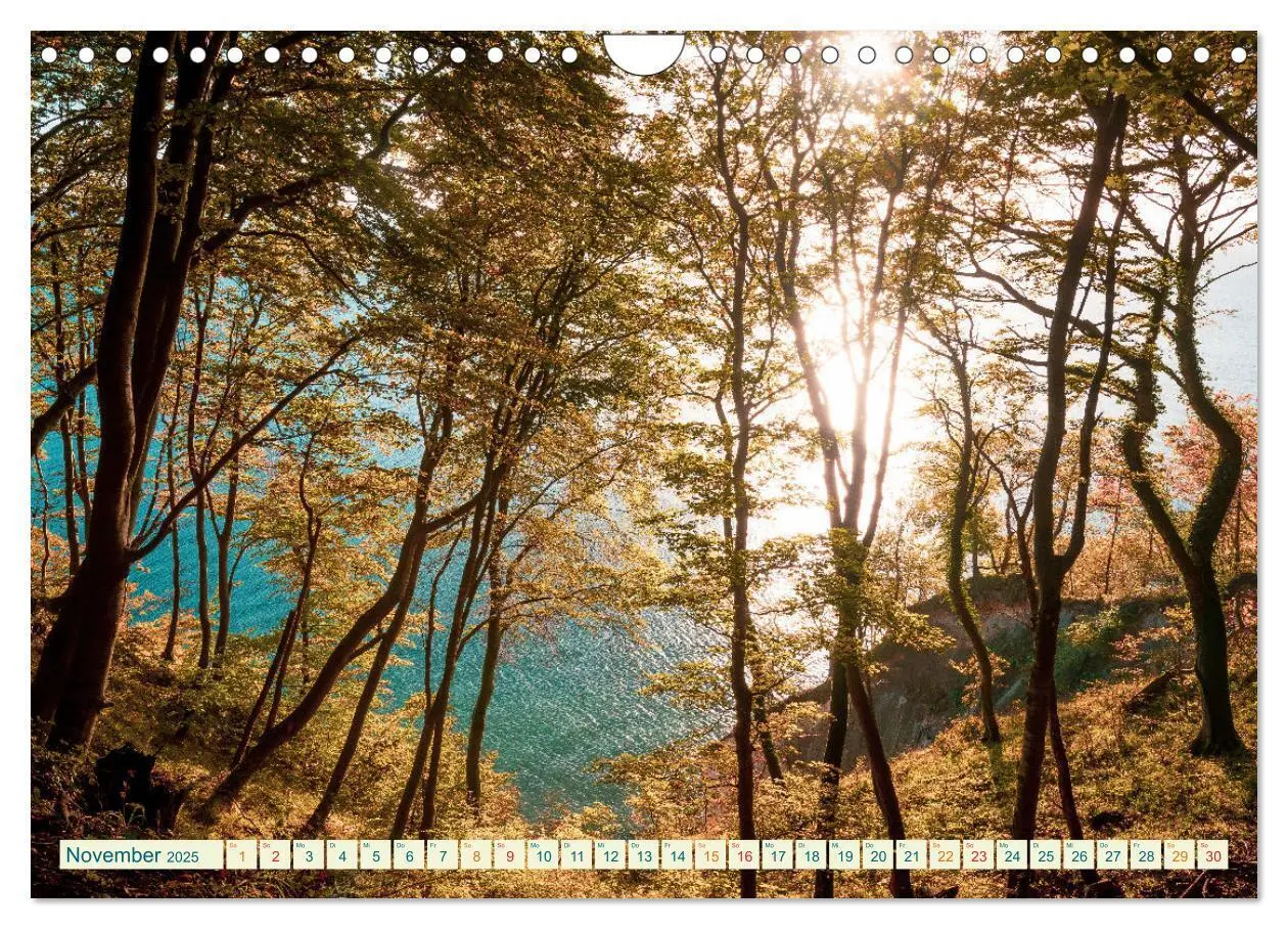 Bild: 9783383831973 | Insel Rügen - Malerische Kreideküste (Wandkalender 2025 DIN A4...
