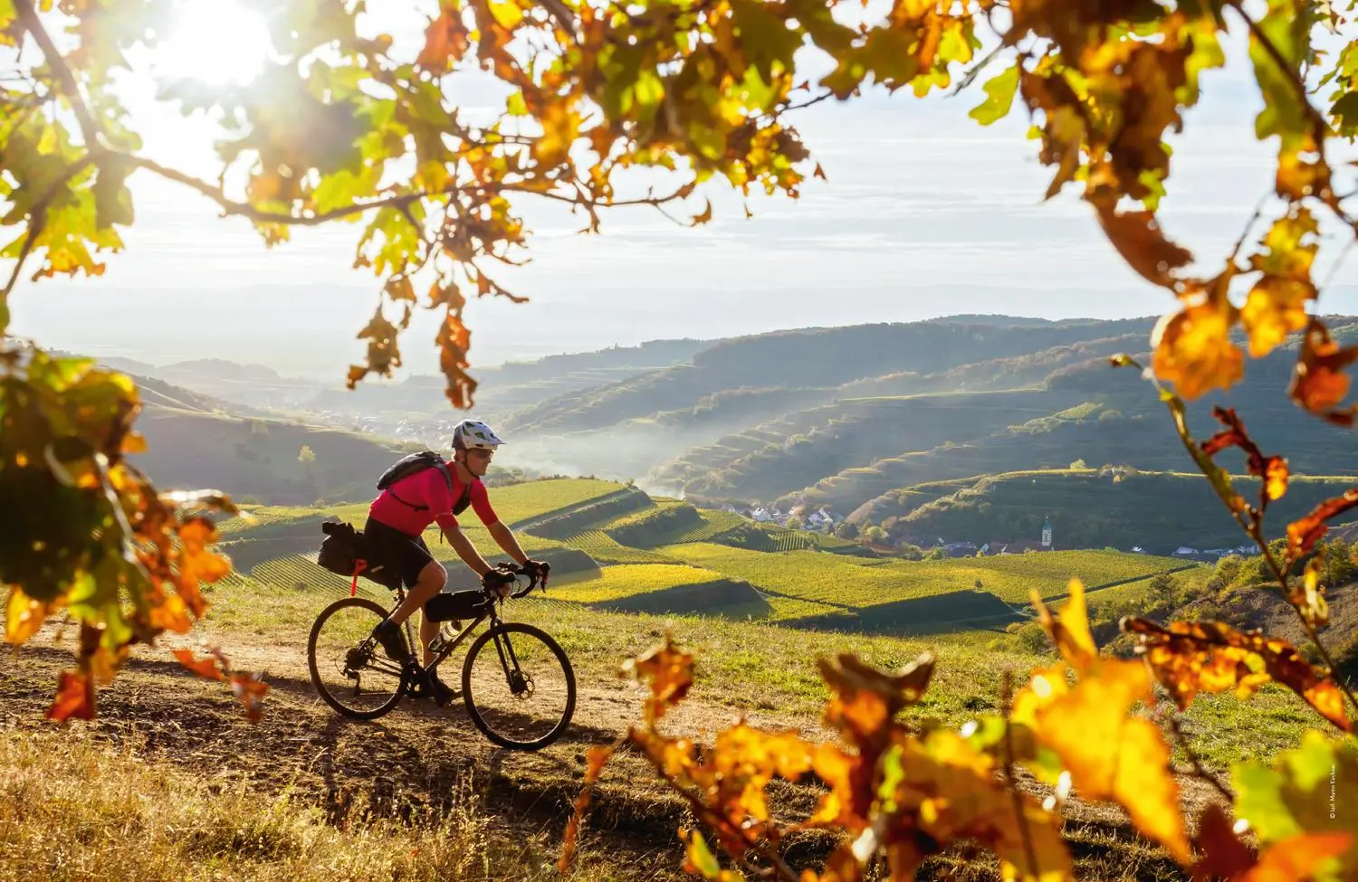 Bild: 9783829731973 | LONELY PLANET Bildband Legendäre Radtouren in Deutschland | Buch