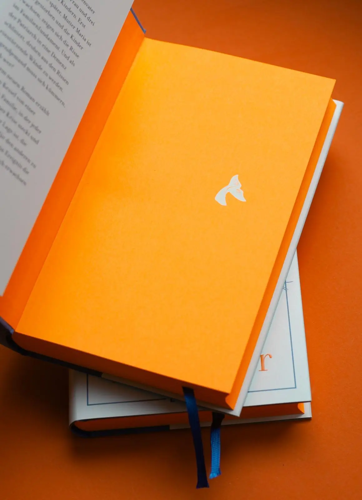 Bild: 9783961611973 | Die andern sind das weite Meer | Julie von Kessel | Buch | 336 S.