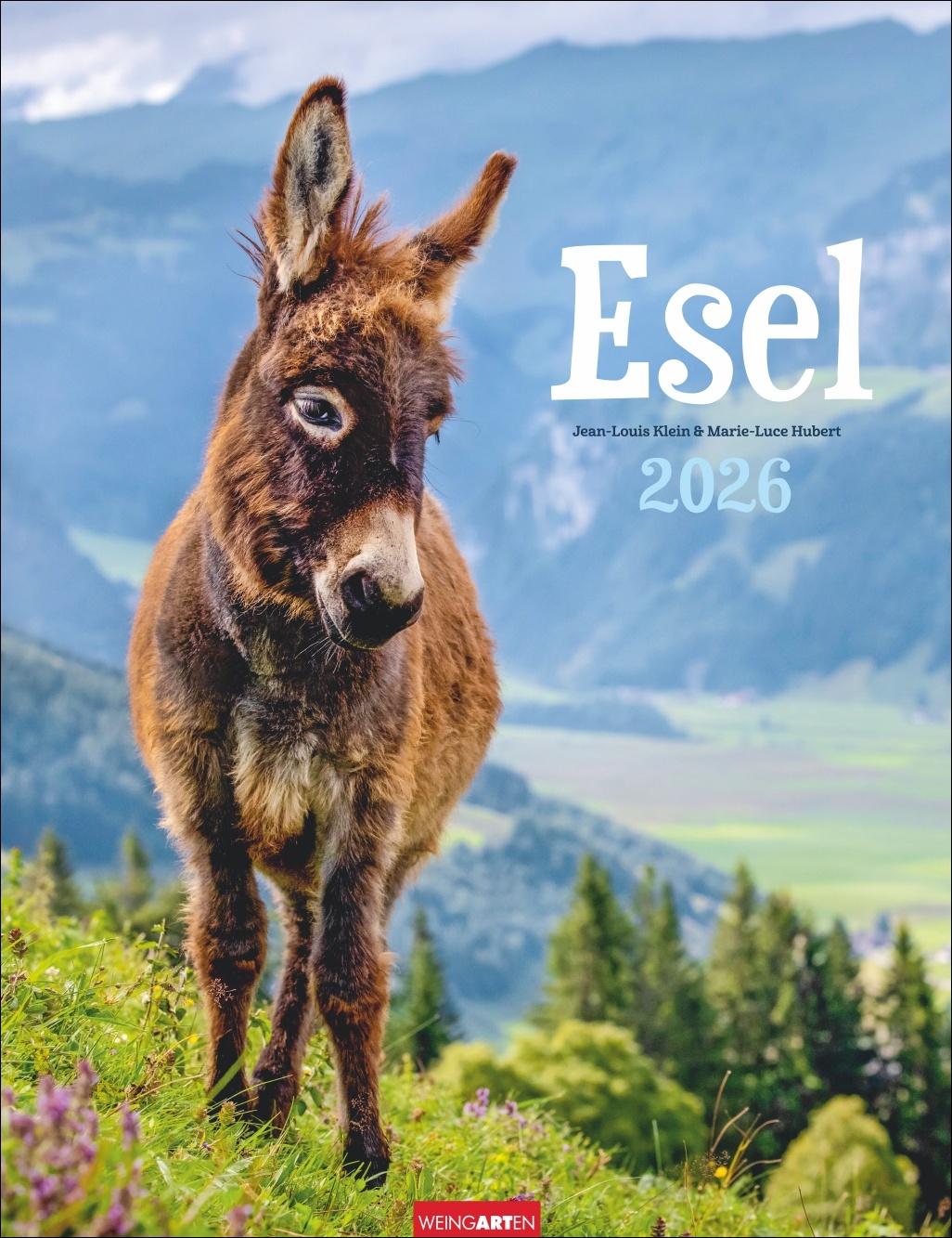 Cover: 9783839902073 | Esel Kalender 2026 | Marie-Luce Hubert | Kalender | Spiralbindung