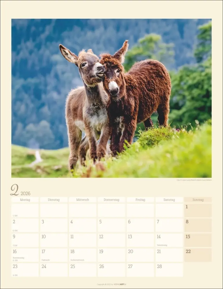 Bild: 9783839902073 | Esel Kalender 2026 | Marie-Luce Hubert (u. a.) | Kalender | Deutsch