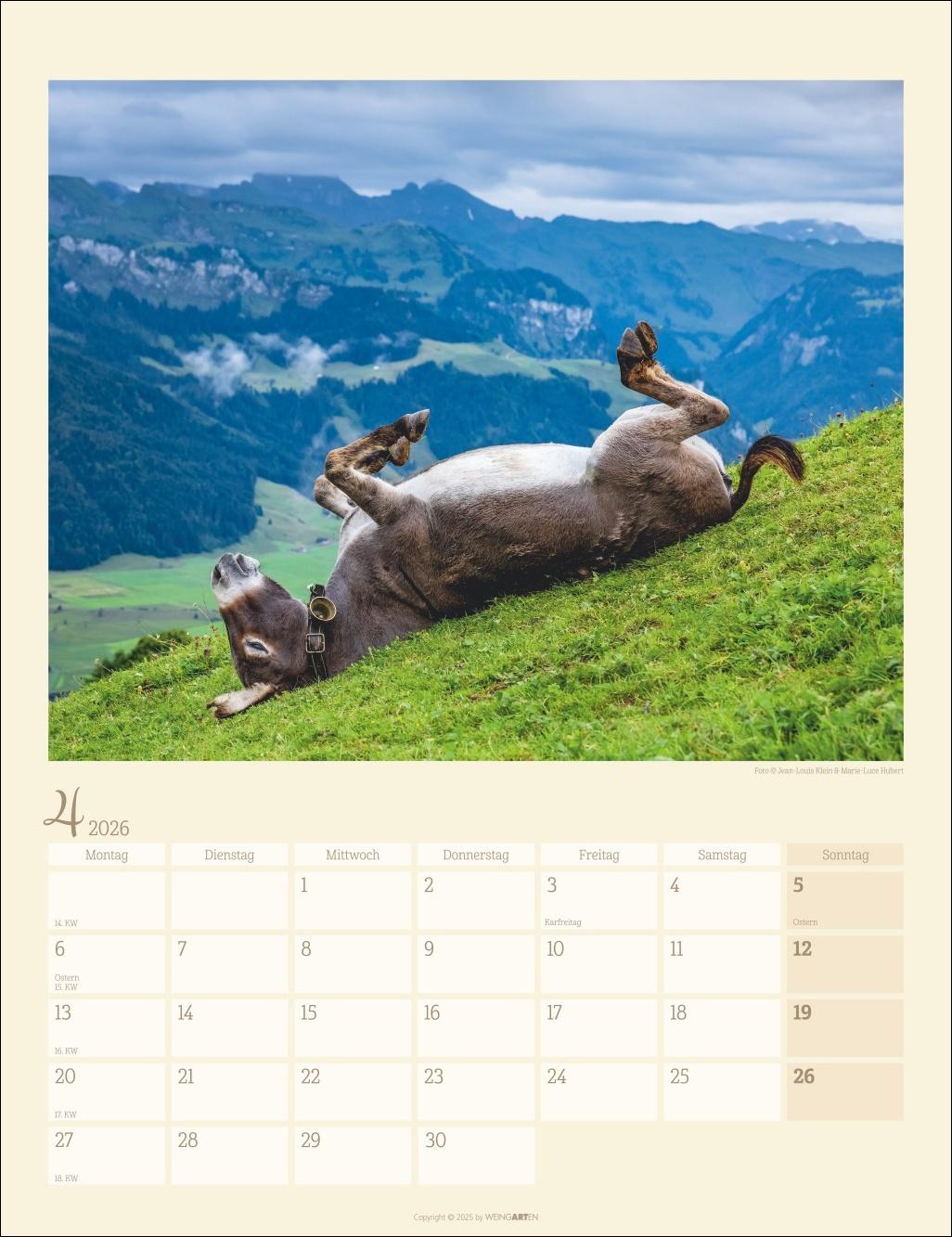 Bild: 9783839902073 | Esel Kalender 2026 | Marie-Luce Hubert | Kalender | Spiralbindung