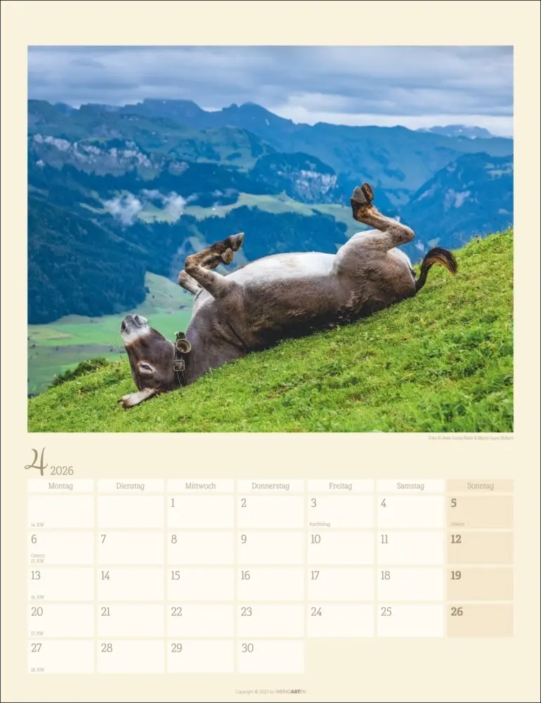 Bild: 9783839902073 | Esel Kalender 2026 | Marie-Luce Hubert (u. a.) | Kalender | Deutsch