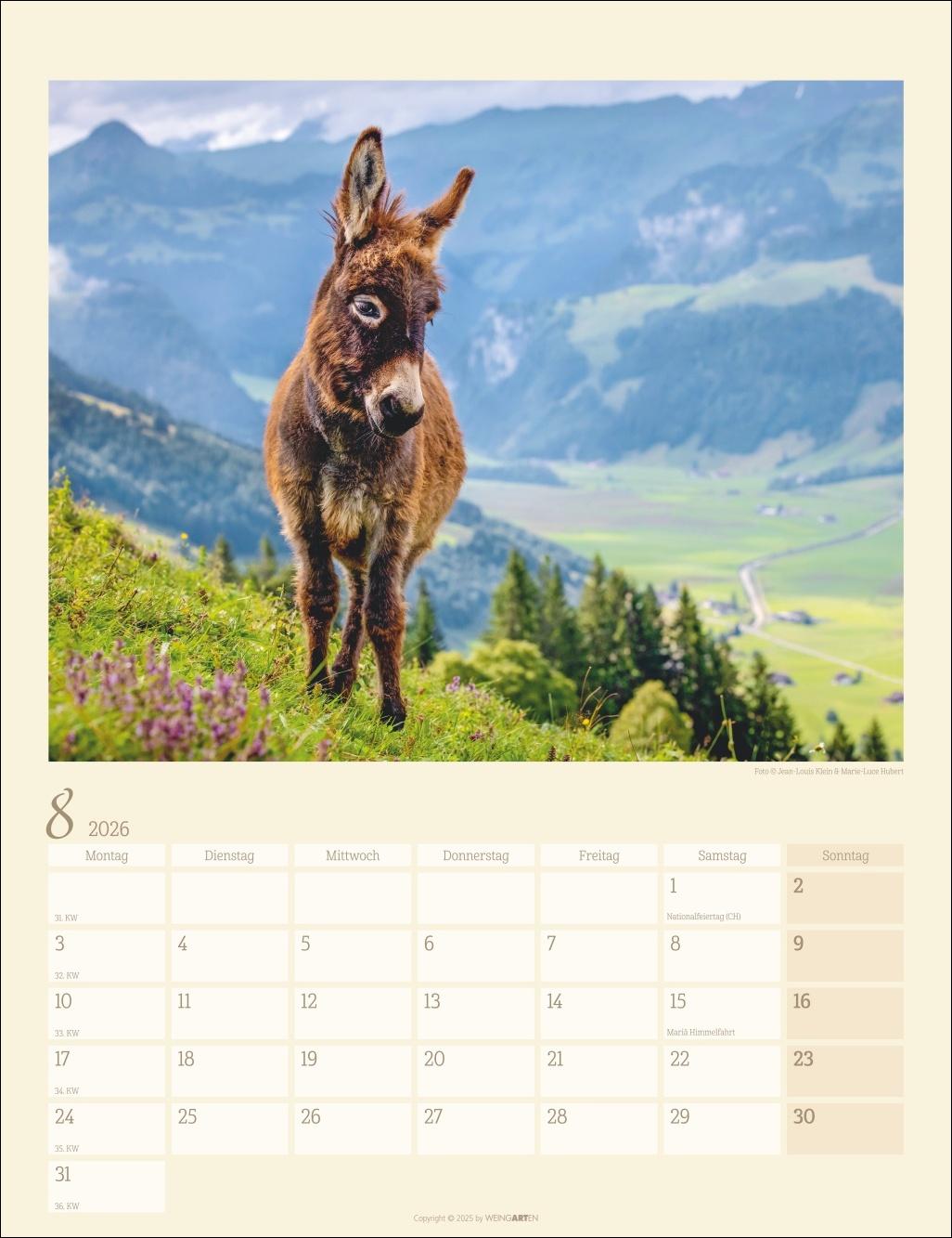 Bild: 9783839902073 | Esel Kalender 2026 | Marie-Luce Hubert | Kalender | Spiralbindung