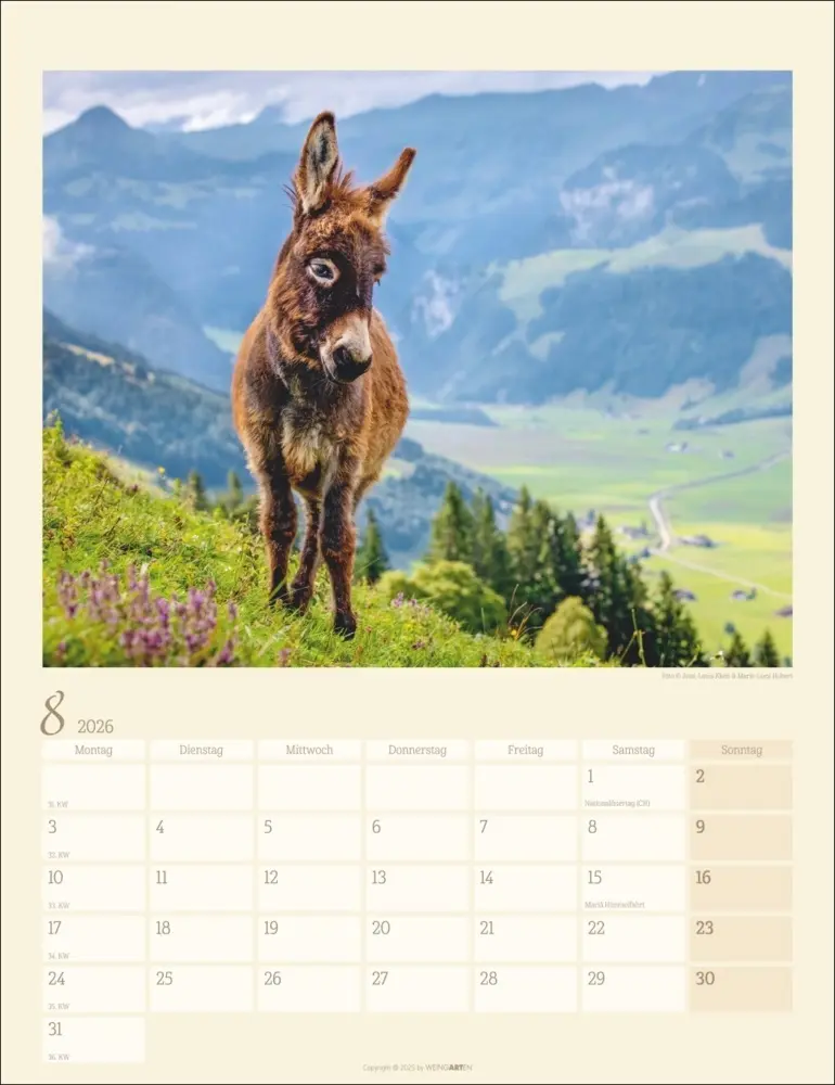 Bild: 9783839902073 | Esel Kalender 2026 | Marie-Luce Hubert (u. a.) | Kalender | Deutsch