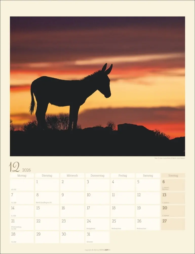 Bild: 9783839902073 | Esel Kalender 2026 | Marie-Luce Hubert (u. a.) | Kalender | Deutsch