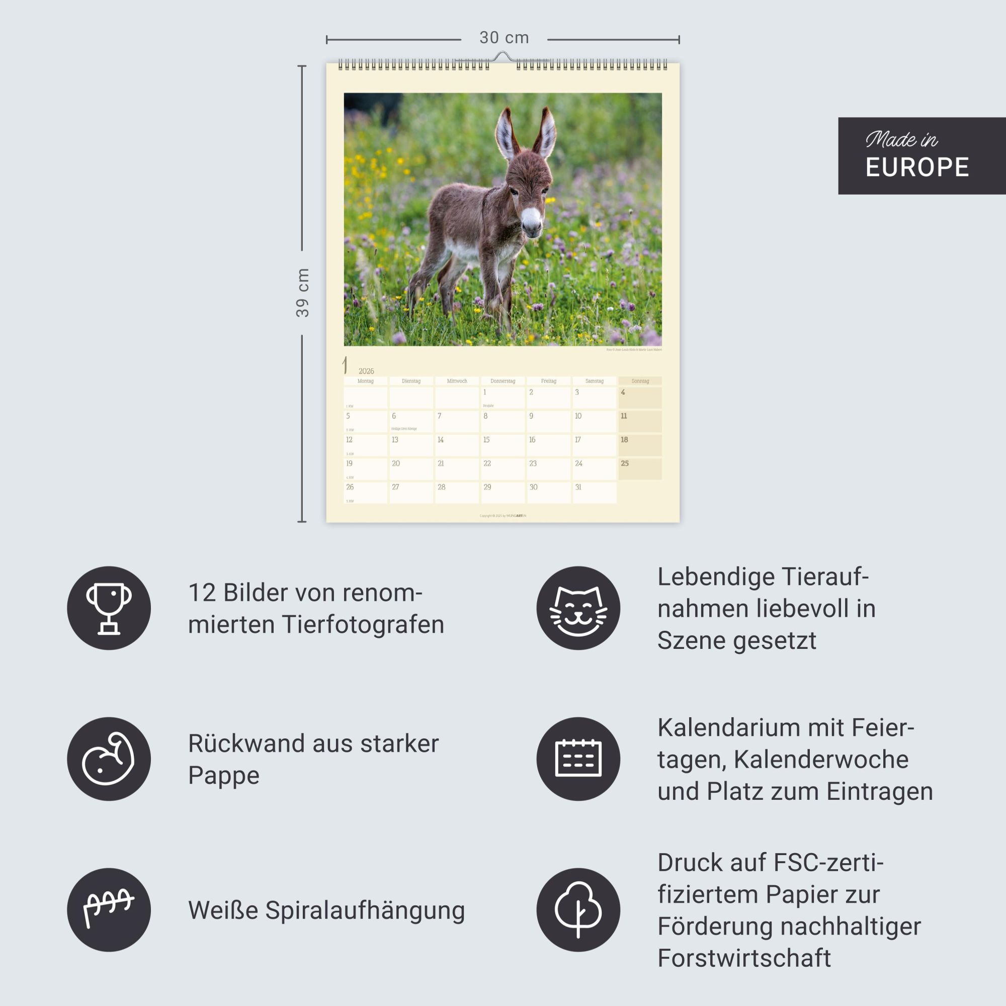 Bild: 9783839902073 | Esel Kalender 2026 | Marie-Luce Hubert | Kalender | Spiralbindung
