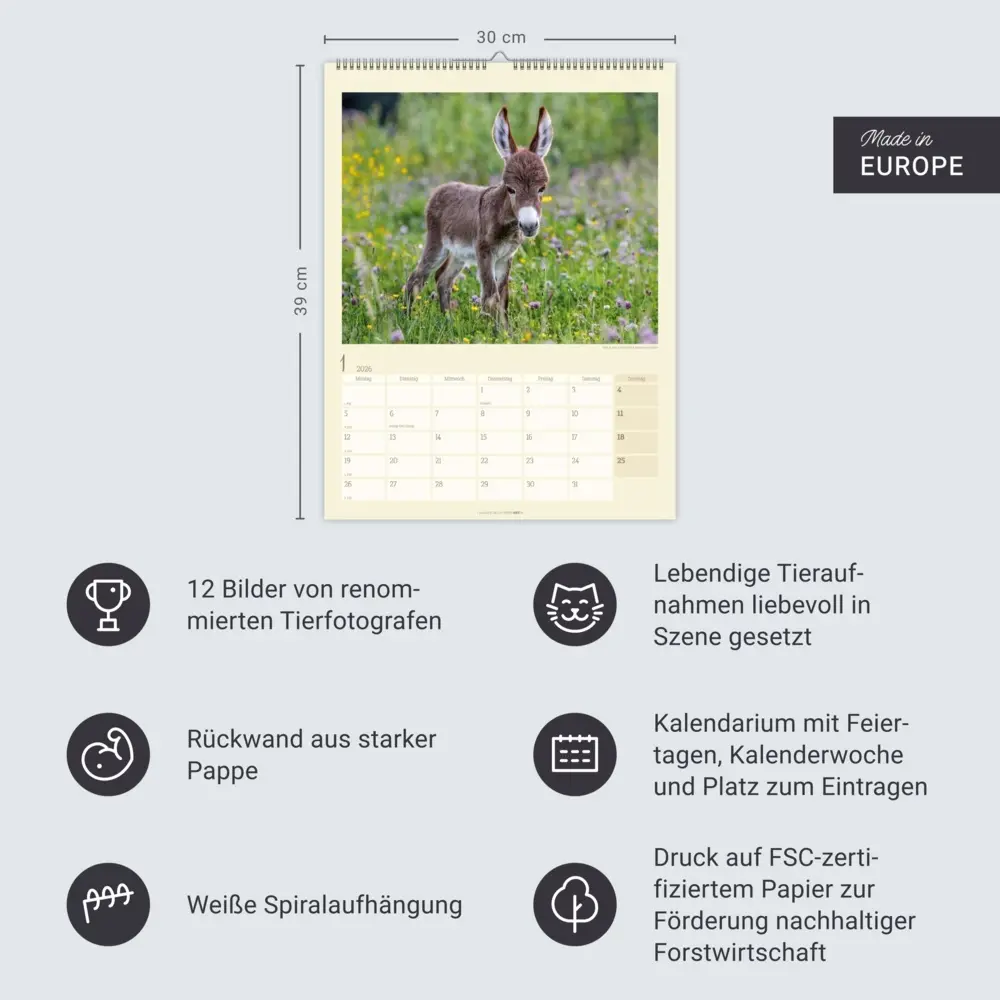 Bild: 9783839902073 | Esel Kalender 2026 | Marie-Luce Hubert (u. a.) | Kalender | Deutsch