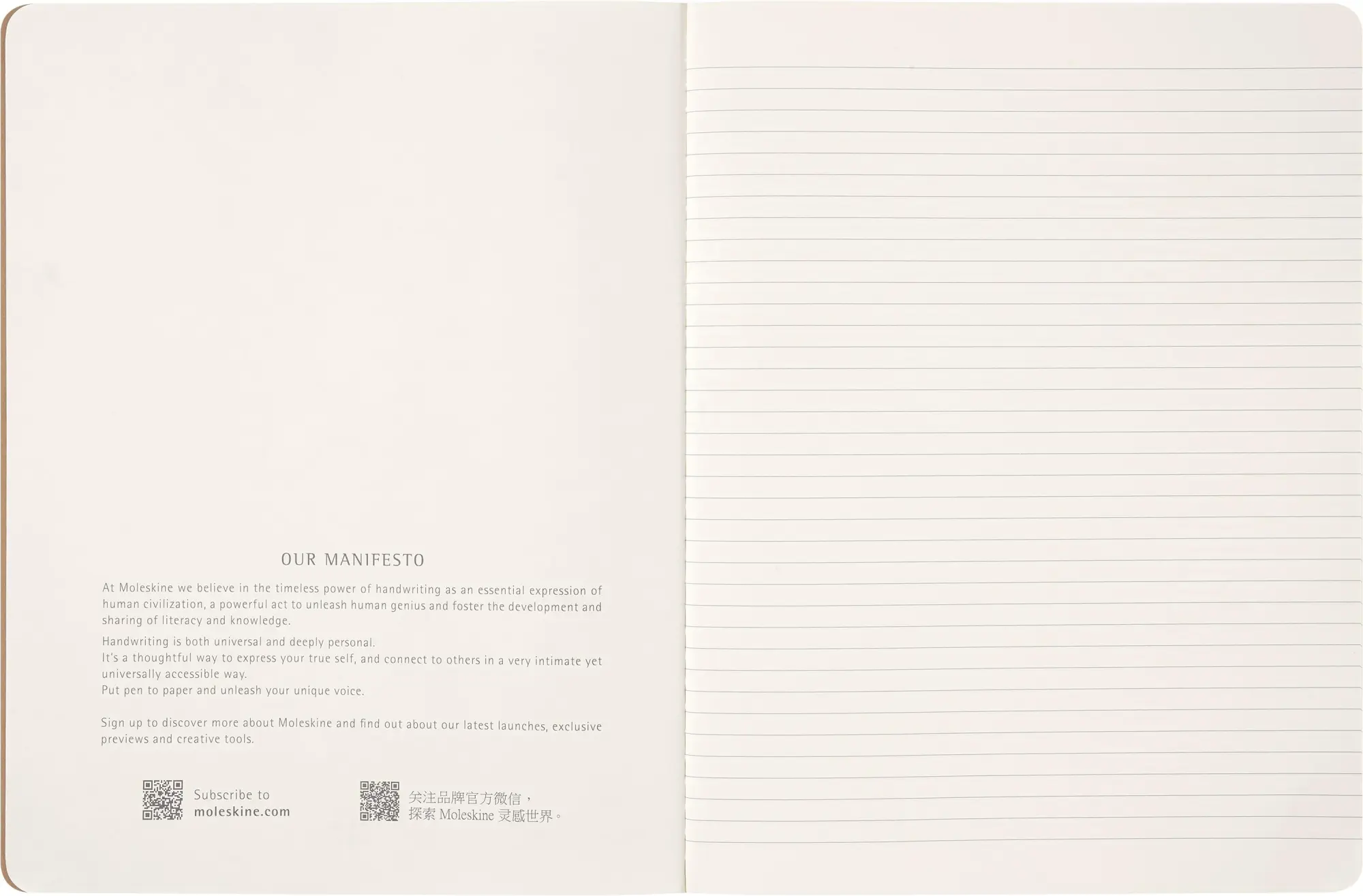 Bild: 8056999272173 | Moleskine Harry Potter Wingardium Cahier, XL, Gemischt (Liniert...