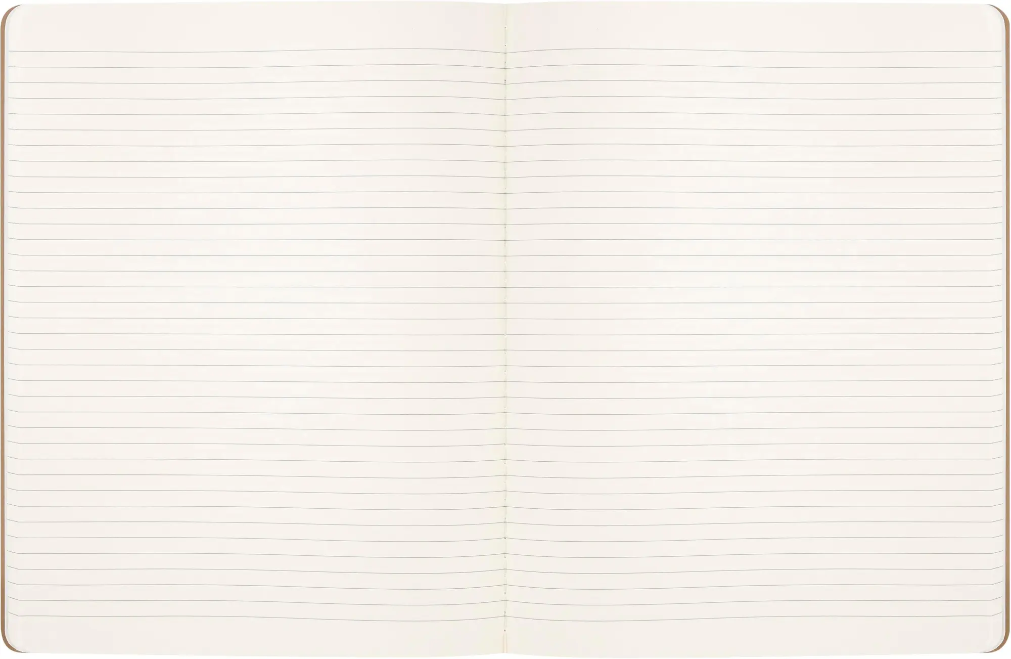 Bild: 8056999272173 | Moleskine Harry Potter Wingardium Cahier, XL, Gemischt (Liniert...