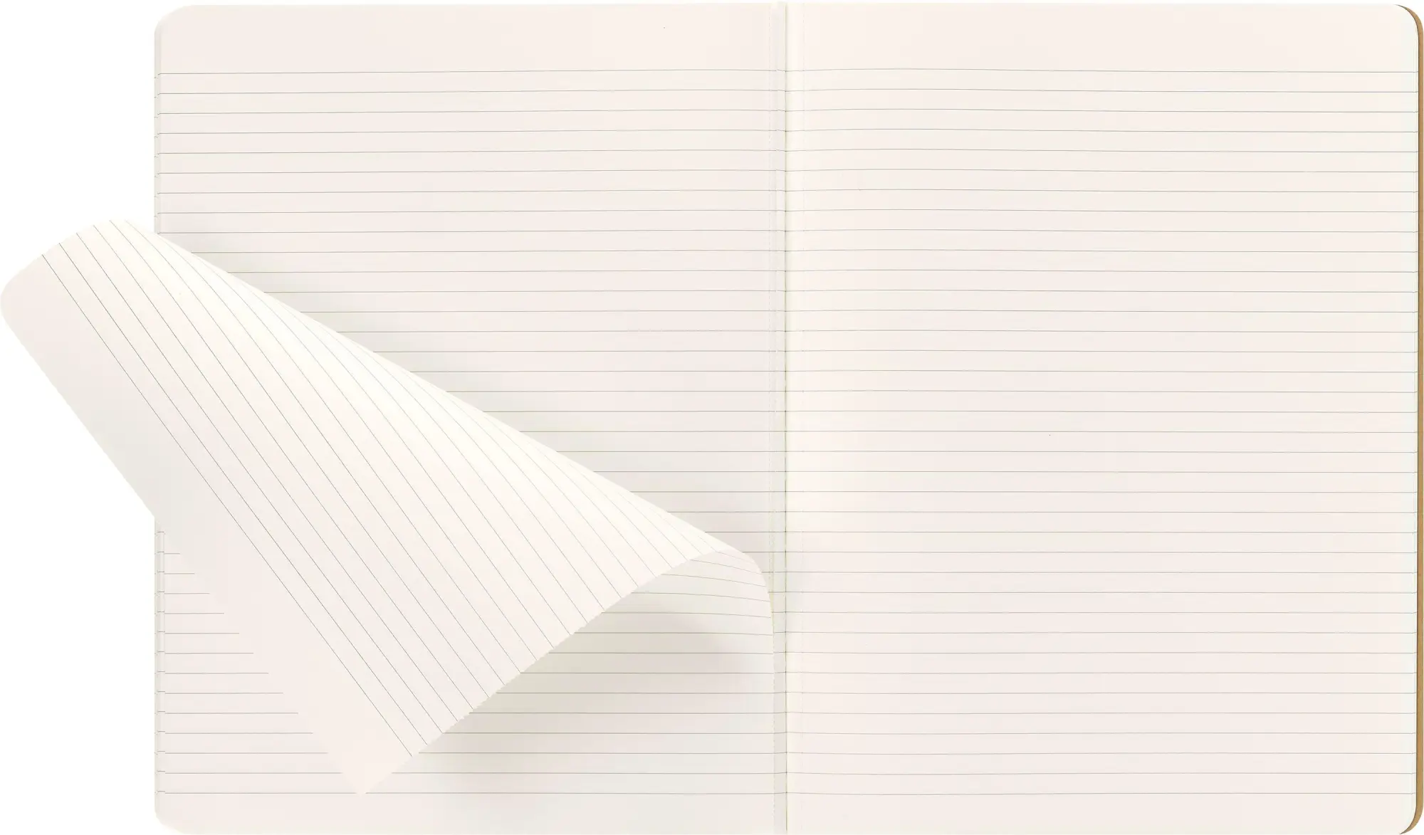 Bild: 8056999272173 | Moleskine Harry Potter Wingardium Cahier, XL, Gemischt (Liniert...