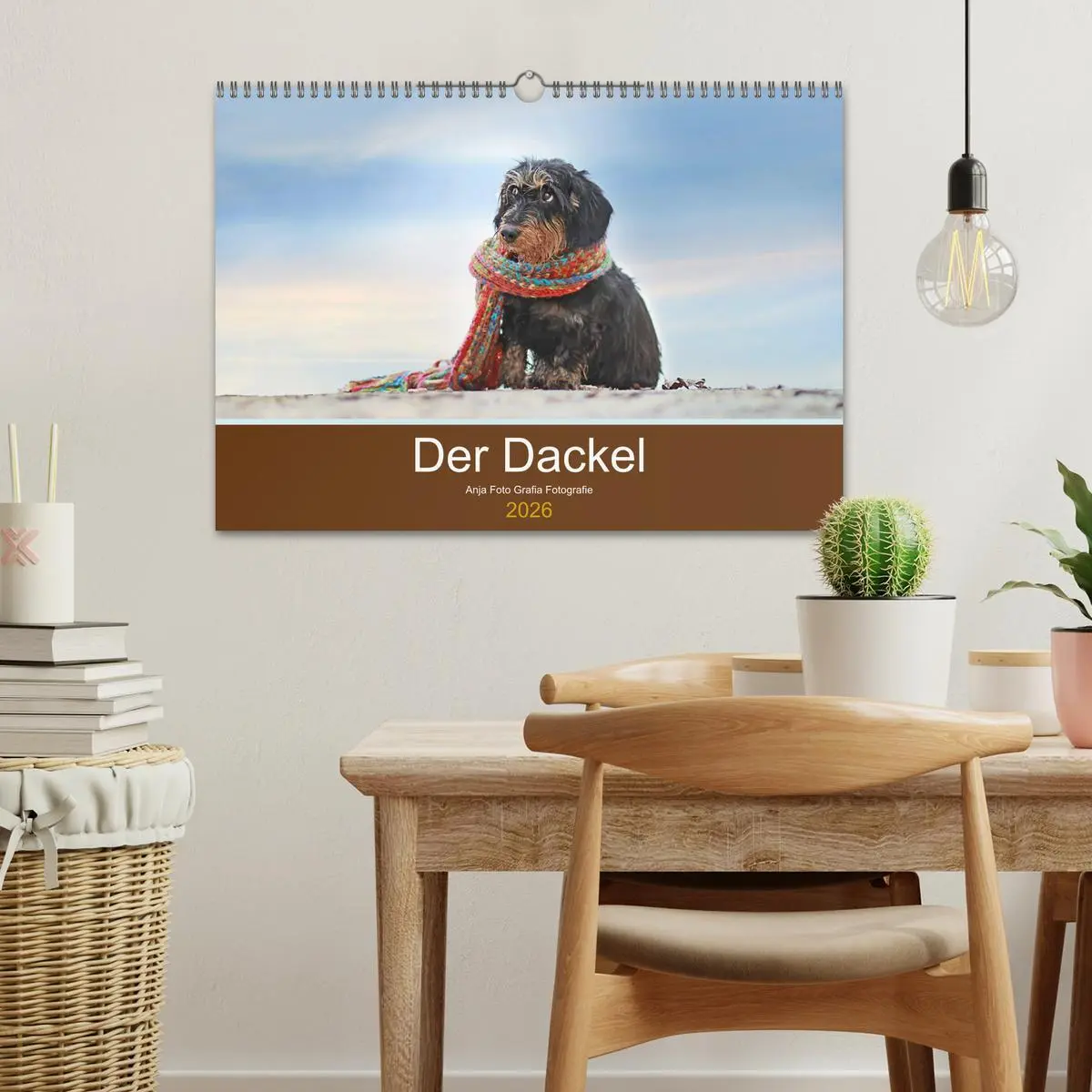 Bild: 9783457822173 | Der Dackel (Wandkalender 2026 DIN A3 quer), CALVENDO Monatskalender