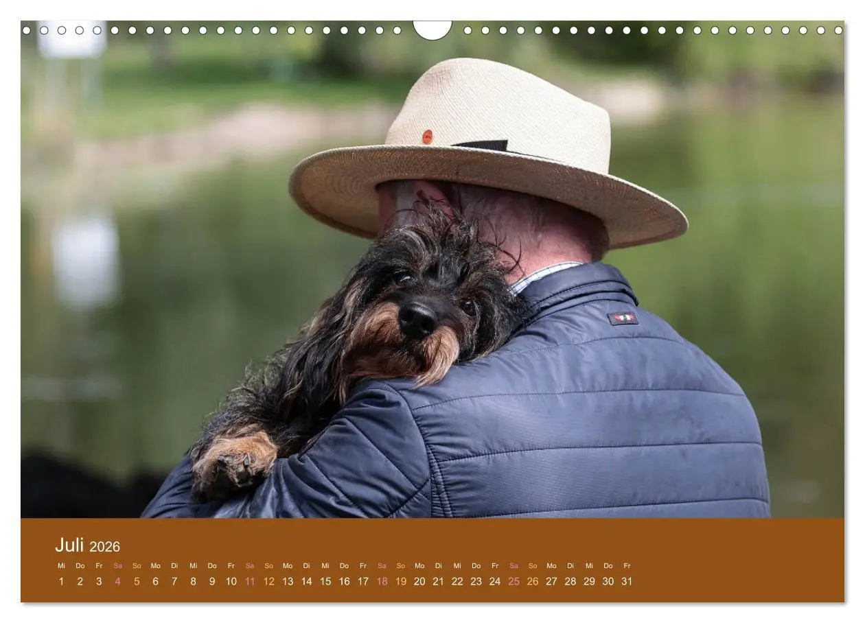 Bild: 9783457822173 | Der Dackel (Wandkalender 2026 DIN A3 quer), CALVENDO Monatskalender