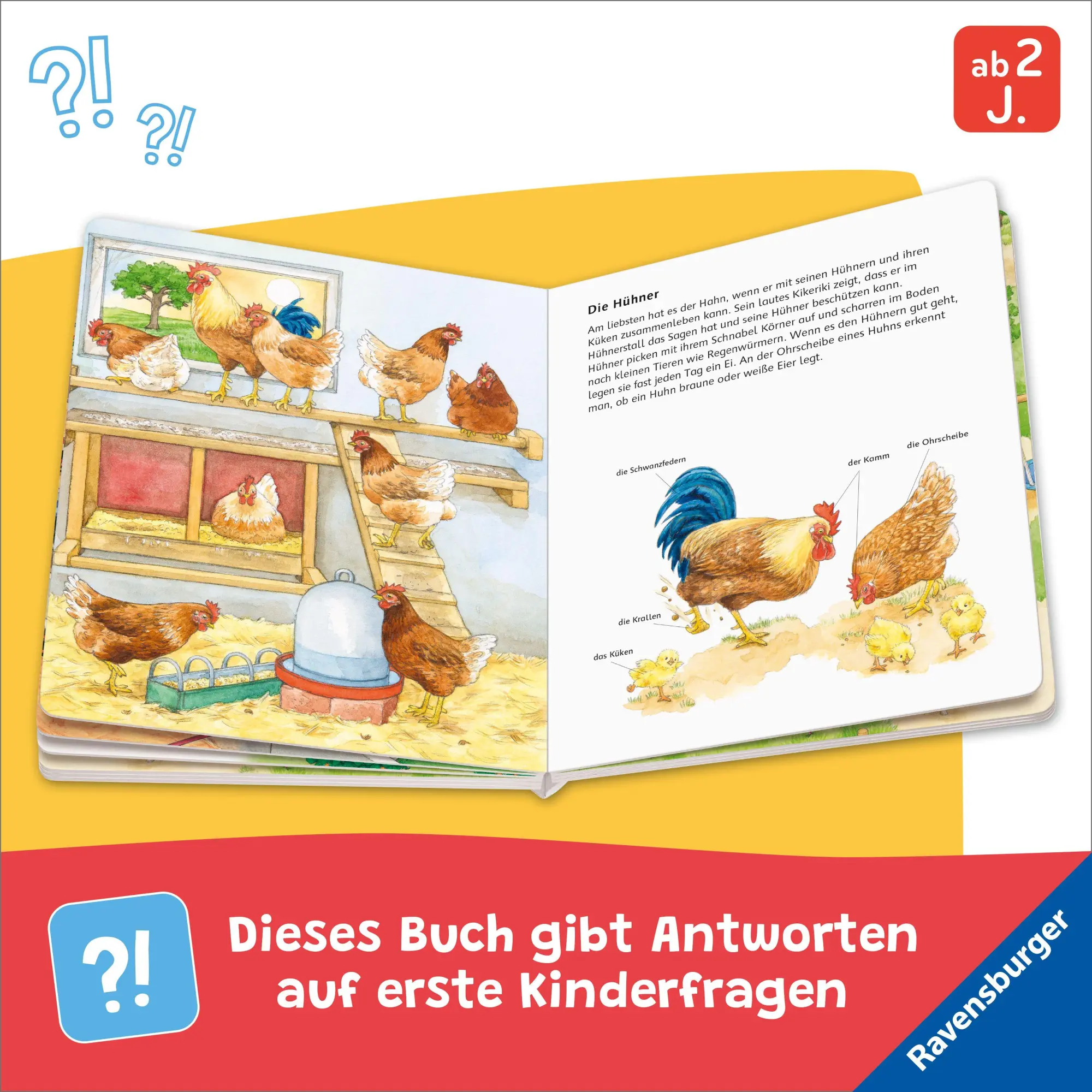 Bild: 9783473422173 | Entdecke die Bauernhoftiere | Bea Zorell | Buch | 20 S. | Deutsch