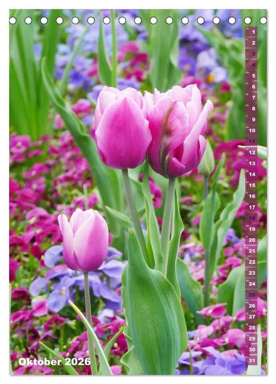 Bild: 9783516392173 | Bunte Tulpenpracht (Tischkalender 2026 DIN A5 hoch), CALVENDO...