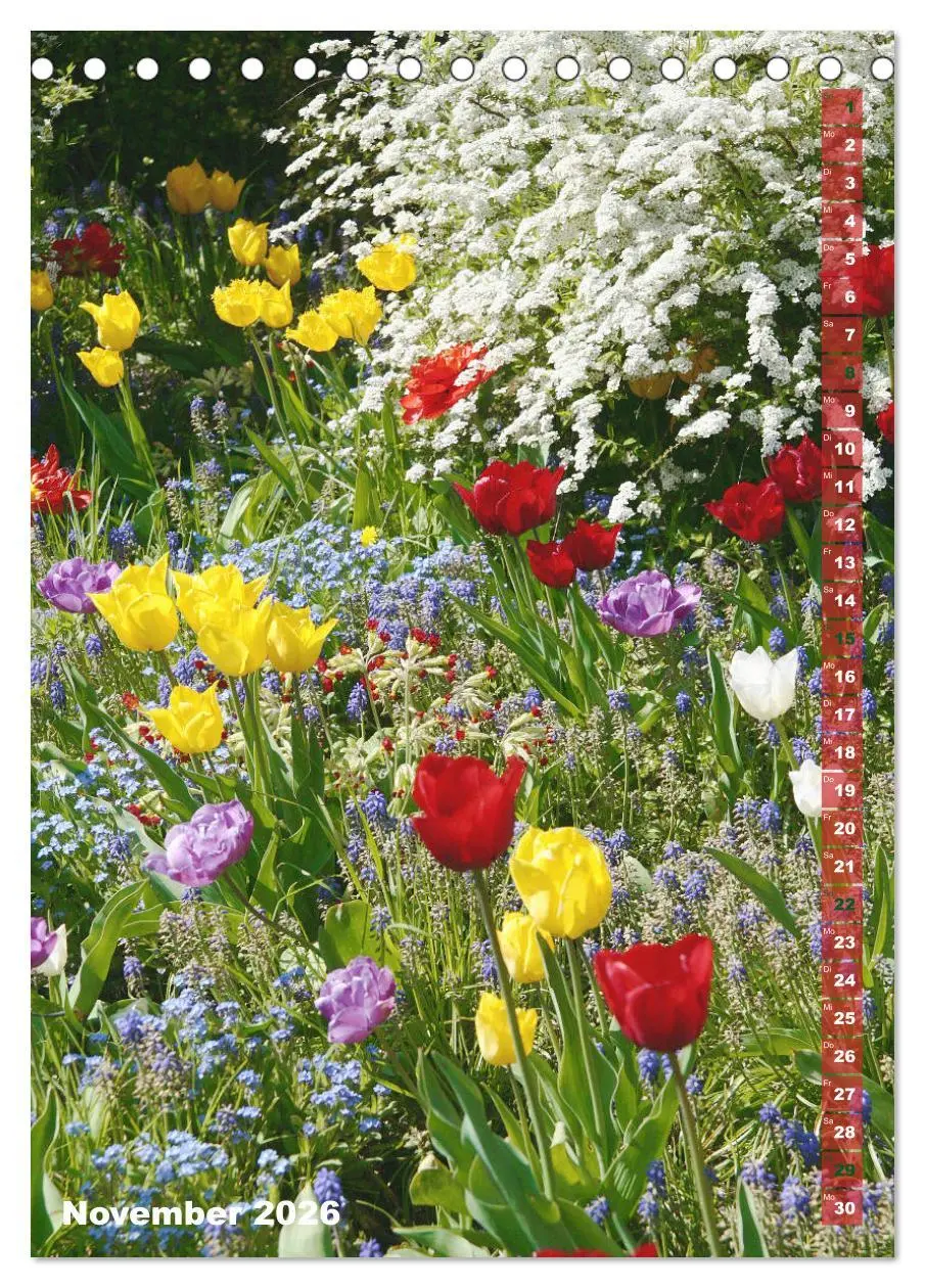 Bild: 9783516392173 | Bunte Tulpenpracht (Tischkalender 2026 DIN A5 hoch), CALVENDO...