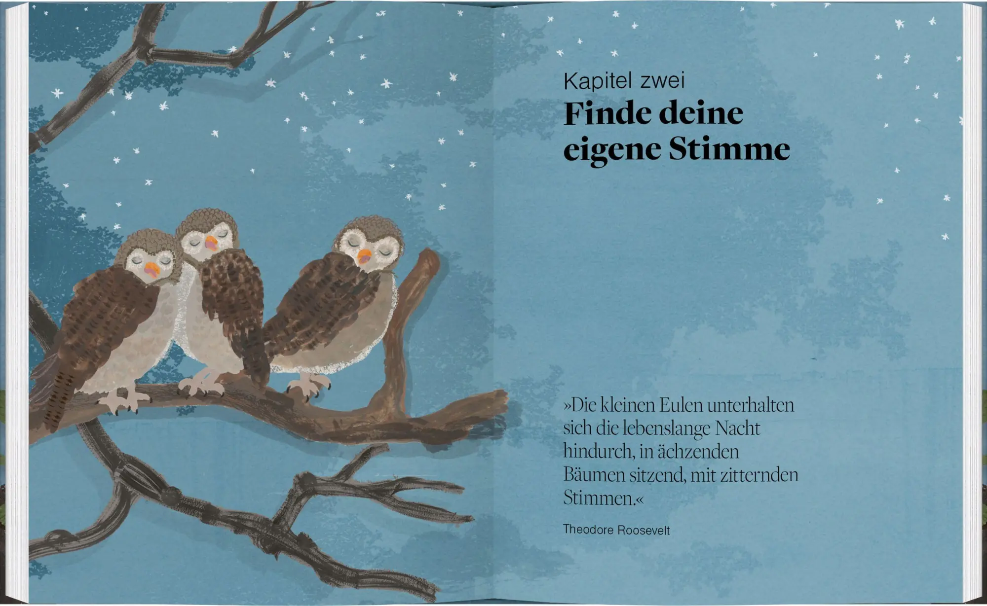 Bild: 9783836922173 | Be More Owl | Was wir von unseren gefiederten Freunden lernen können