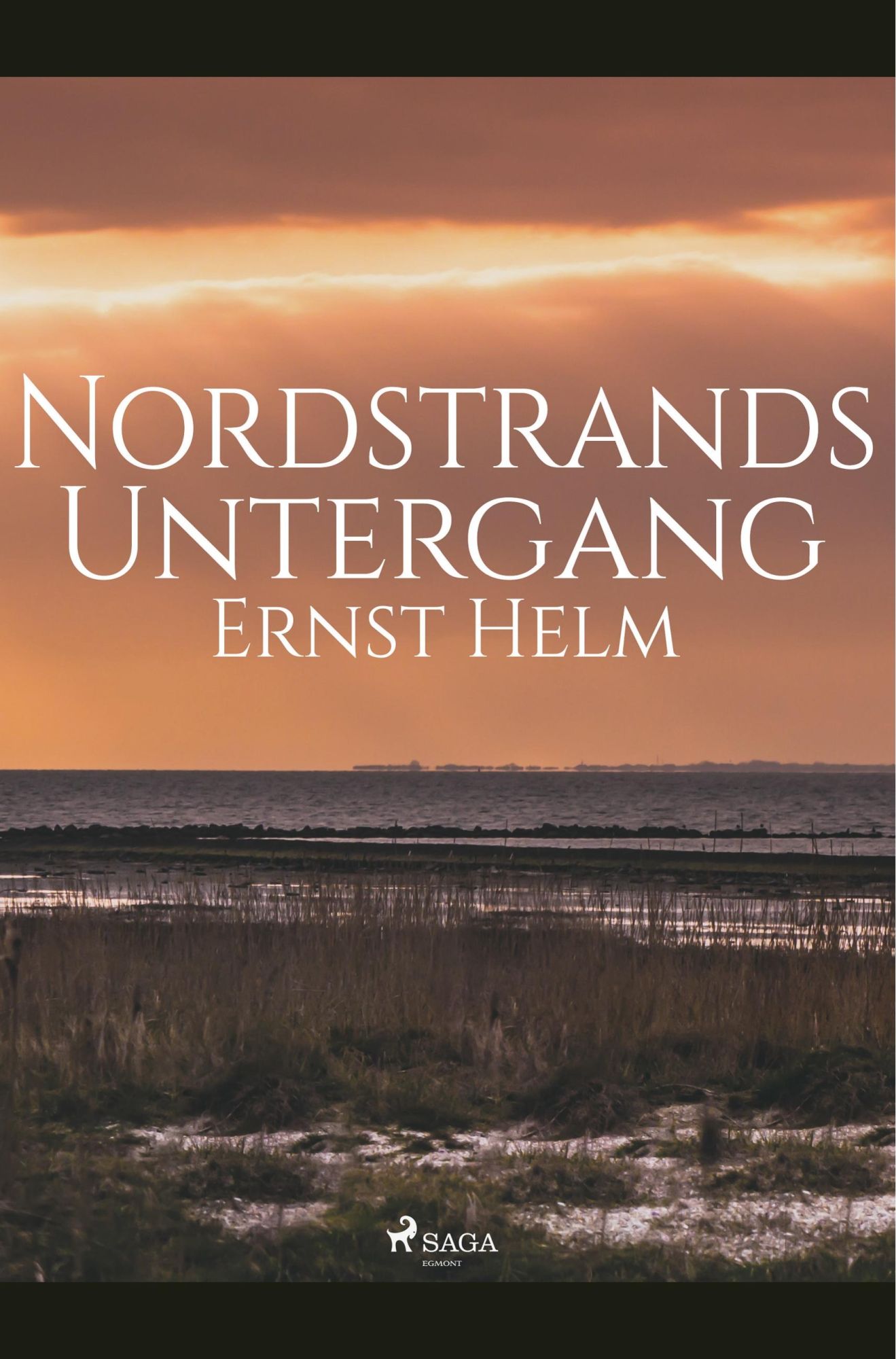 Cover: 9788726152173 | Nordstrands Untergang | Ernst Helm | Taschenbuch | Paperback | 38 S.