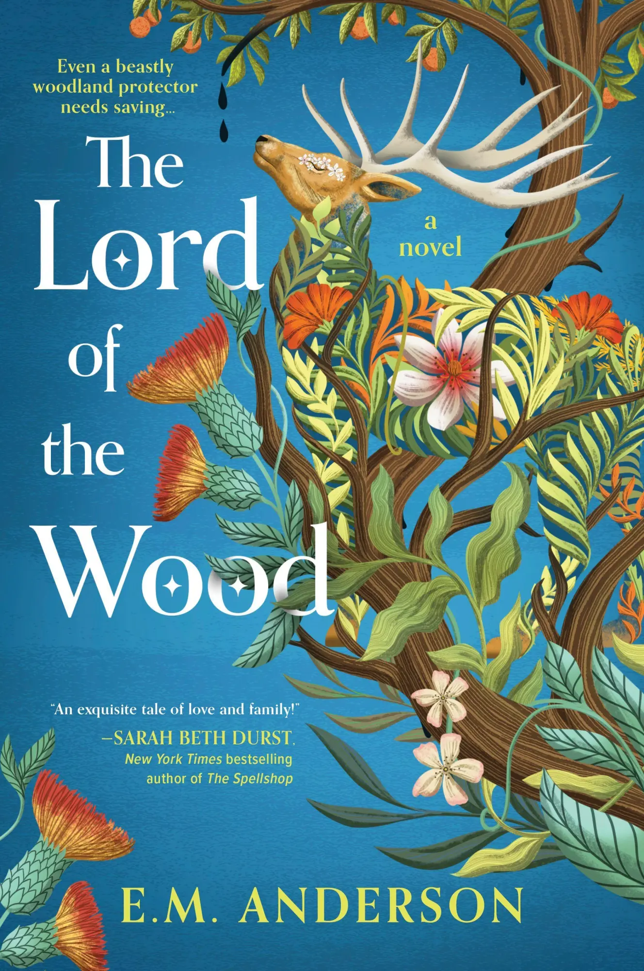 Cover: 9781335002273 | The Lord of the Wood | E M Anderson | Taschenbuch | Englisch | 2026