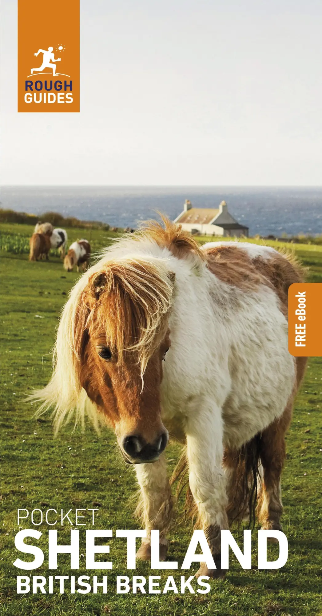 Cover: 9781835292273 | Rough Guides Pocket British Breaks Shetland: Travel Guide with eBook