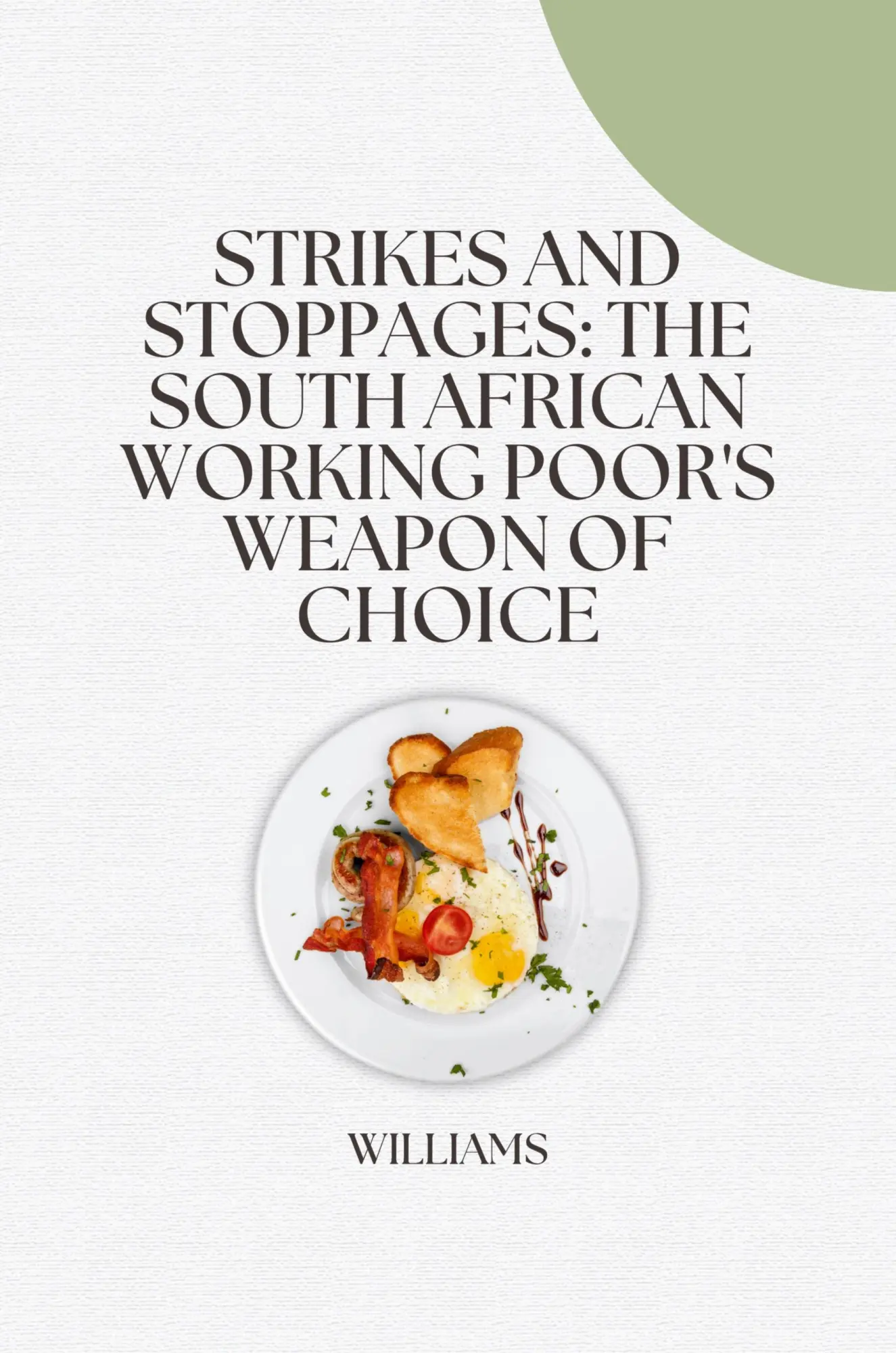 Strikes and Stoppages The South African Working Poors Weapon of Choice - Williams Kartoniert (TB)