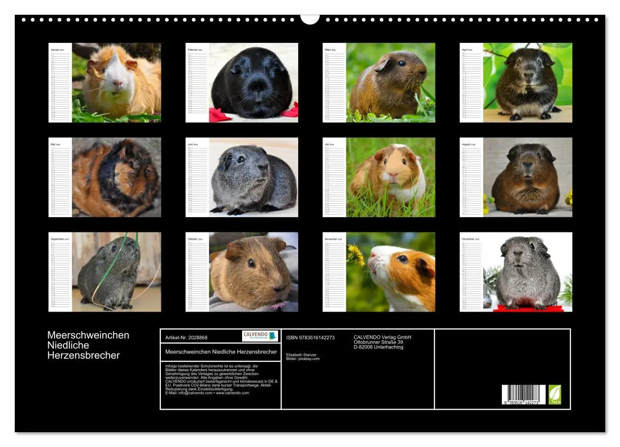 Bild: 9783516142273 | Meerschweinchen Niedliche Herzensbrecher (Wandkalender 2026 DIN A2...