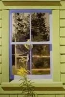 Cover: 9781848222373 | Lois Dodd | Faye Hirsch | Buch | Gebunden | Englisch | 2017