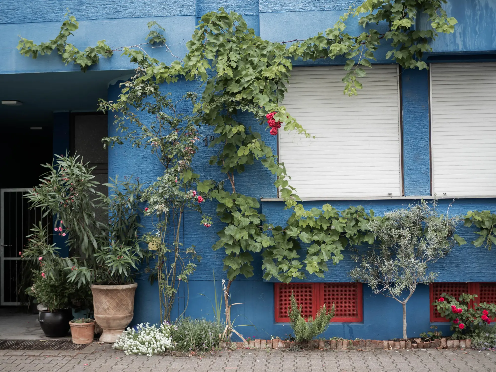 Bild: 9783735852373 | Rethink Garten. Bewusst pflanzen, umweltschonend düngen, naturnah...