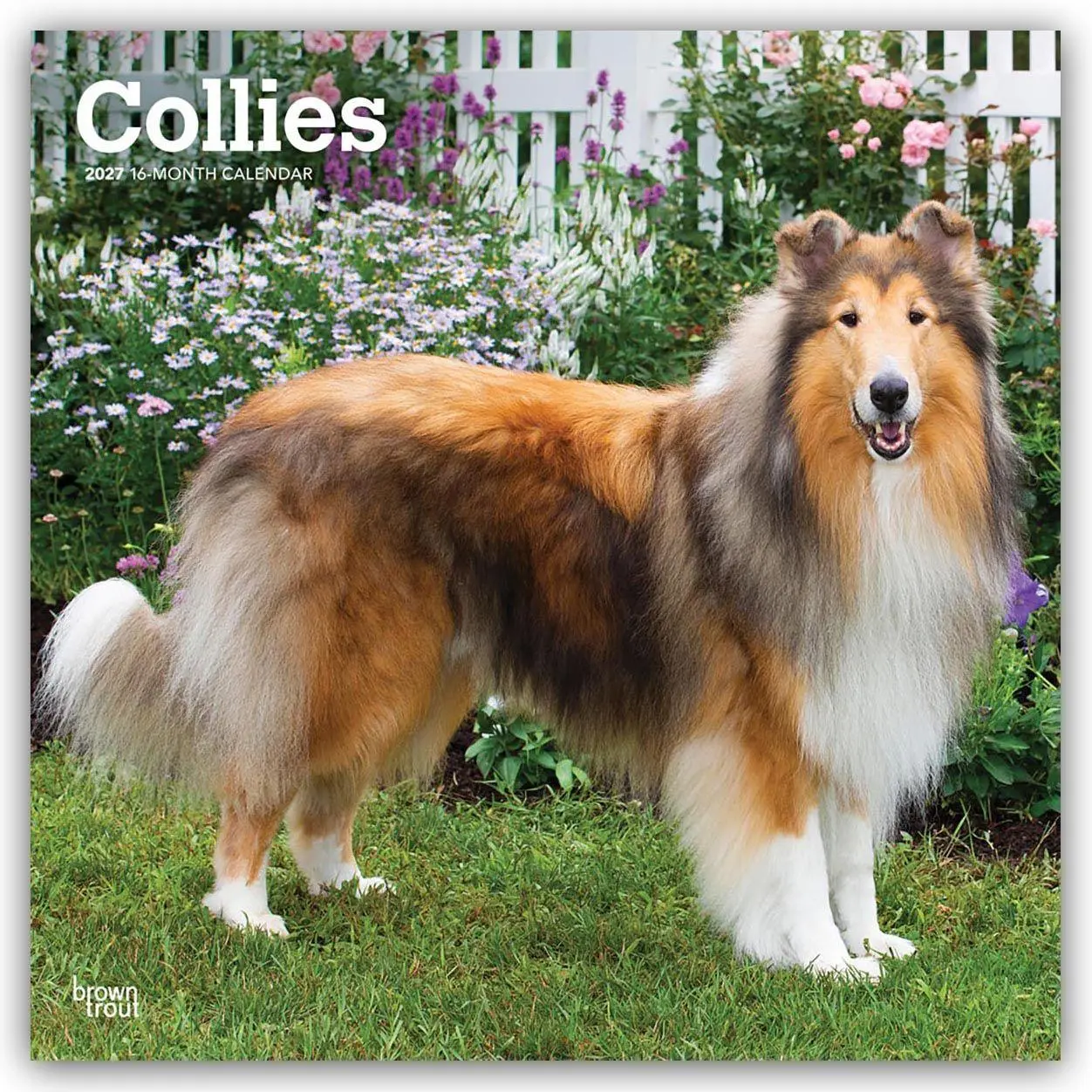 Cover: 9798330712373 | Collies - Langhaarcollie 2027 - 16-Monatskalender | Publishers | 28 S.