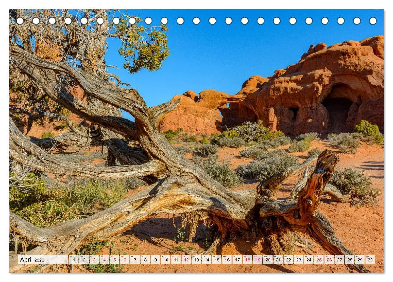 Bild: 9783457272473 | Sehnsuchts Landschaften im Amerikanischen Westen (Tischkalender...